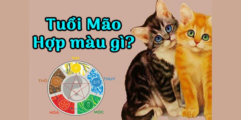 Người Tuổi Mão Mệnh gì