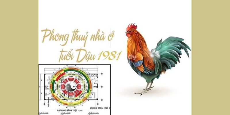 Tuổi Tân Dậu làm nhà