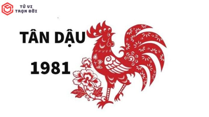 Tổng quan về tuổi Tân Dậu 1981